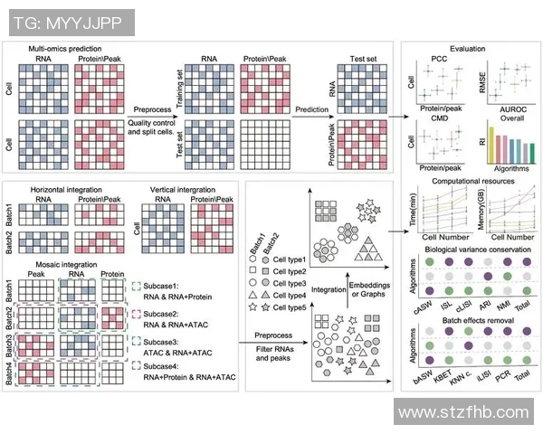 和平精英战术分析：RNG团队合作与策略创新的深度探讨